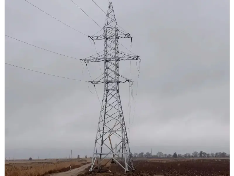 মাও টং এর গ্রাহক প্রতিক্রিয়া